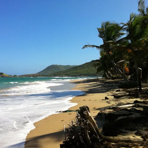 5 dollar beach, east coast of Saint Lucia